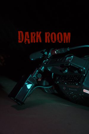 DARK ROOM's poster