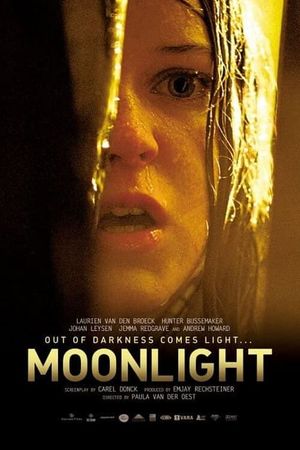 Moonlight's poster