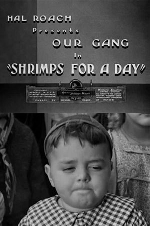 Shrimps for a Day's poster