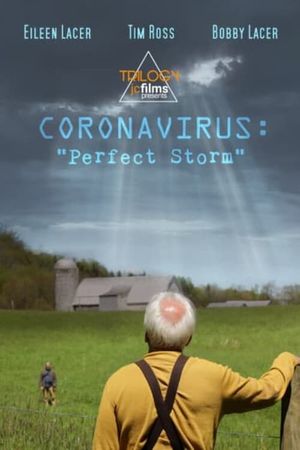 Coronavirus: Perfect Storm's poster