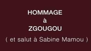 Tribute to Zgougou the Cat's poster