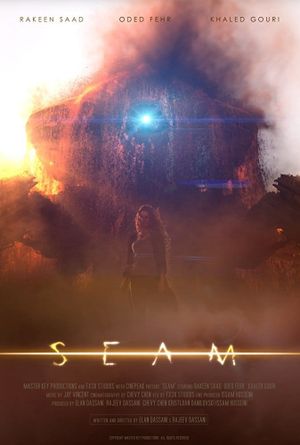 Seam's poster