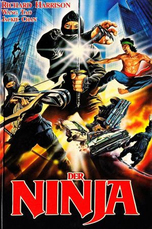 Ninja Thunderbolt's poster