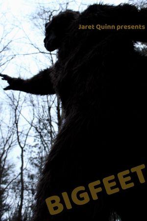 BIGFEET's poster