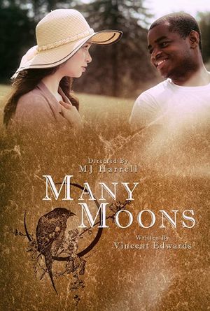 Many Moons's poster