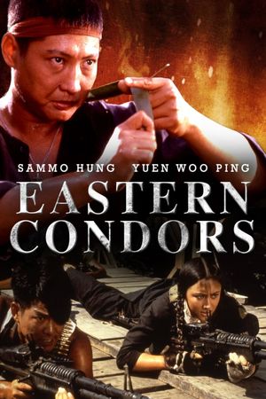 Eastern Condors's poster