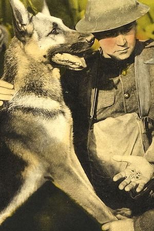 His Master's Voice's poster