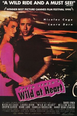 Wild at Heart's poster