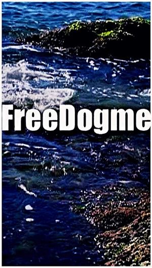 FreeDogme's poster