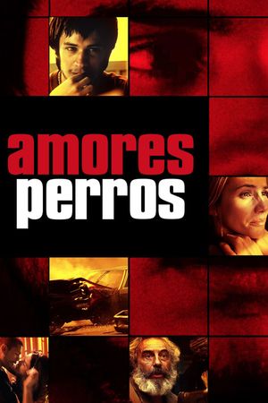 Amores Perros's poster