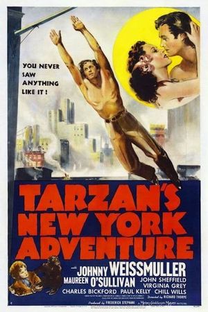Tarzan's New York Adventure's poster