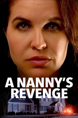 A Nanny's Revenge's poster