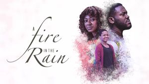 A Fire In The Rain's poster