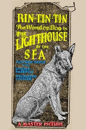 The Lighthouse by the Sea's poster image