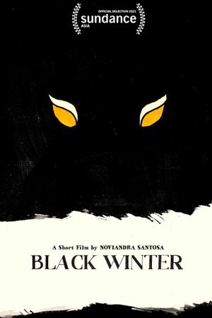 Black Winter's poster