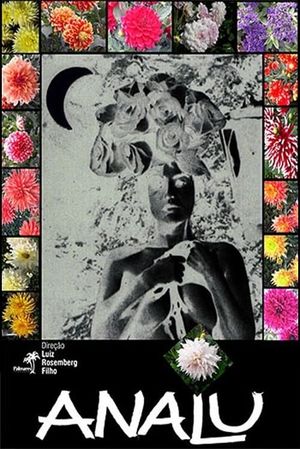 Analu's poster