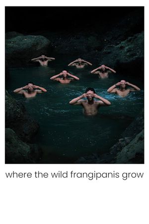 Where the Wild Frangipanis Grow's poster image