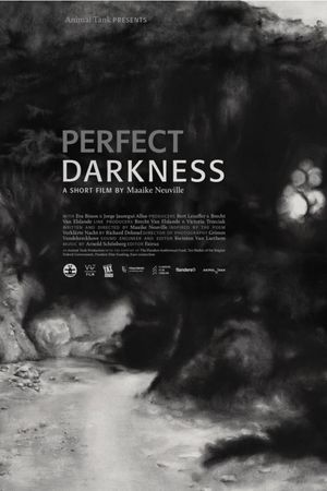 Perfect Darkness's poster