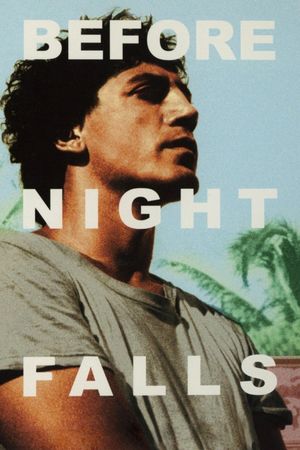 Before Night Falls's poster