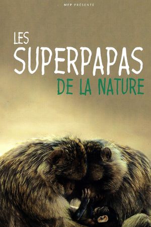 Nature's Superdads's poster