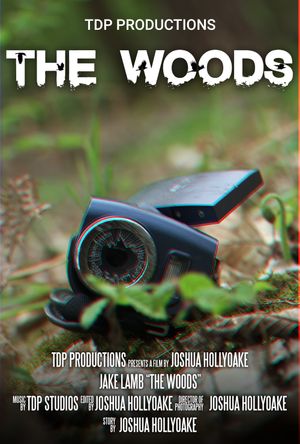 The Woods's poster