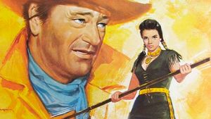 The Searchers's poster