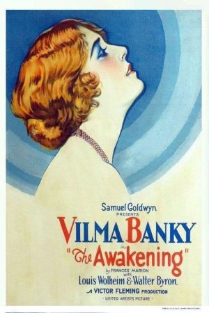 The Awakening's poster