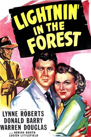 Lightnin' in the Forest's poster