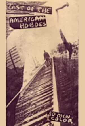The Last American Hobo's poster