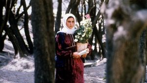 Through the Olive Trees's poster