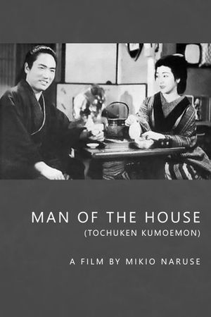 Man of the House's poster