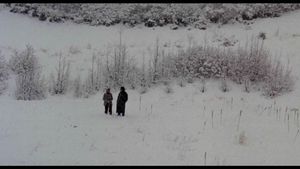 Chilly Scenes of Winter's poster