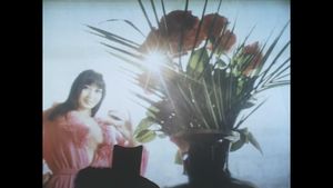 Butterfly's poster