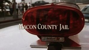 Macon County Jail's poster