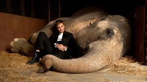 Water for Elephants's poster