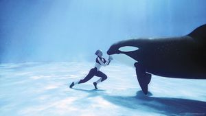 Blackfish's poster