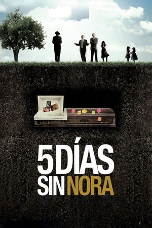 Nora's Will's poster