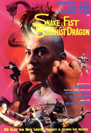 Snake Fist of the Buddhist Dragon's poster