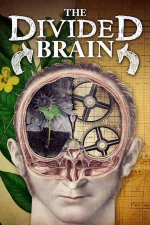 The Divided Brain's poster