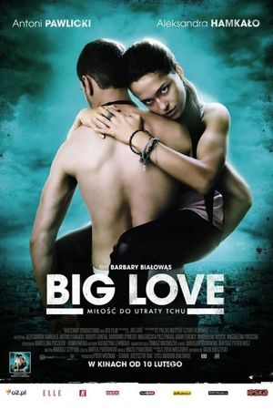 Big Love's poster