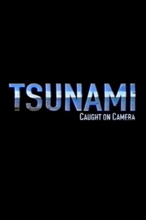 Tsunami: Caught on Camera's poster