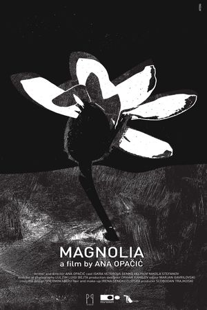 Magnolia's poster