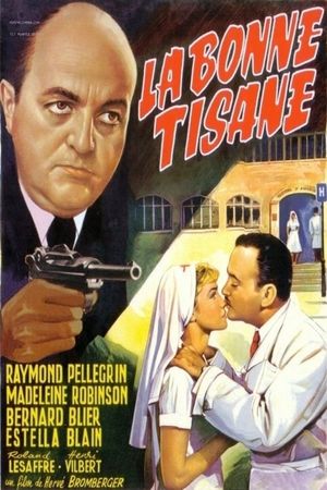 Secrets of a French Nurse's poster