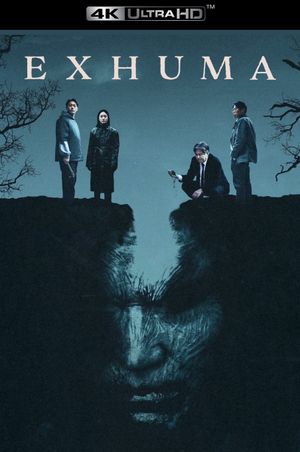 Exhuma's poster