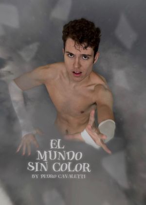 El Mundo Sin Color's poster