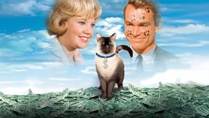 That Darn Cat!'s poster