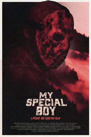 My Special Boy's poster image