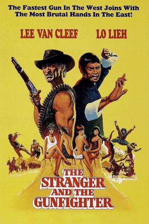 The Stranger and the Gunfighter's poster