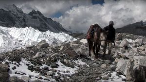 The Horseman of Mount Everest's poster