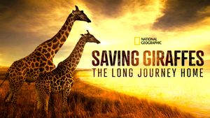 Saving Giraffes: The Long Journey Home's poster